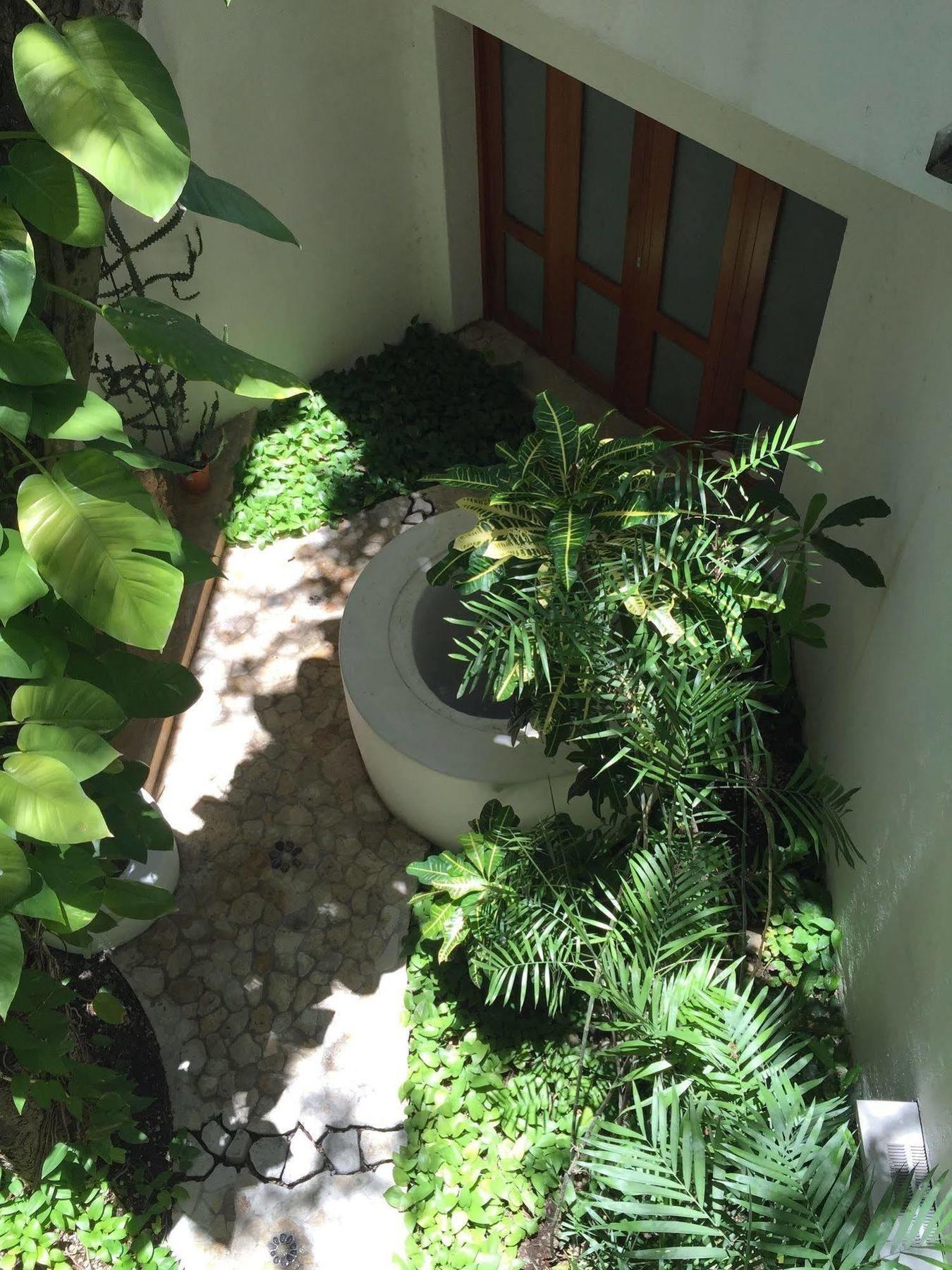 Mi Casa En Cozumel Hotel Buitenkant foto