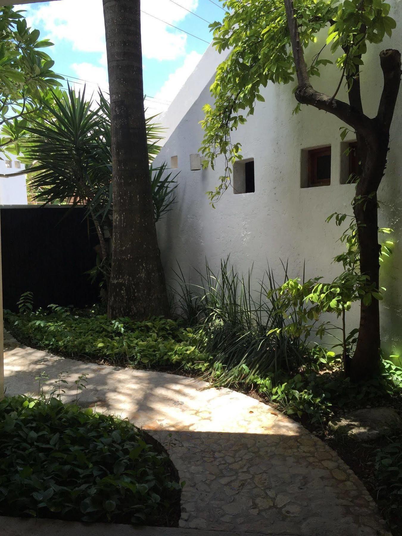 Mi Casa En Cozumel Hotel Buitenkant foto