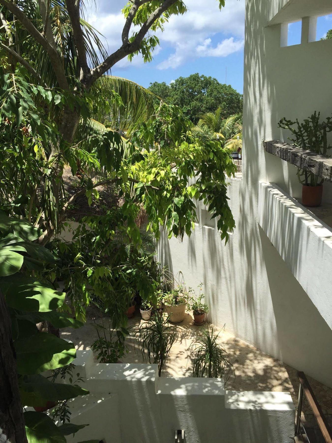 Mi Casa En Cozumel Hotel Buitenkant foto